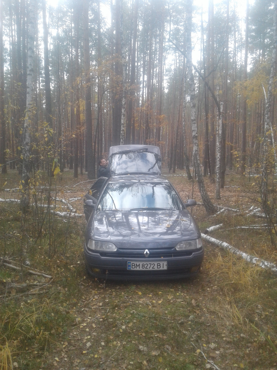 Закриття грибного сезону... 5