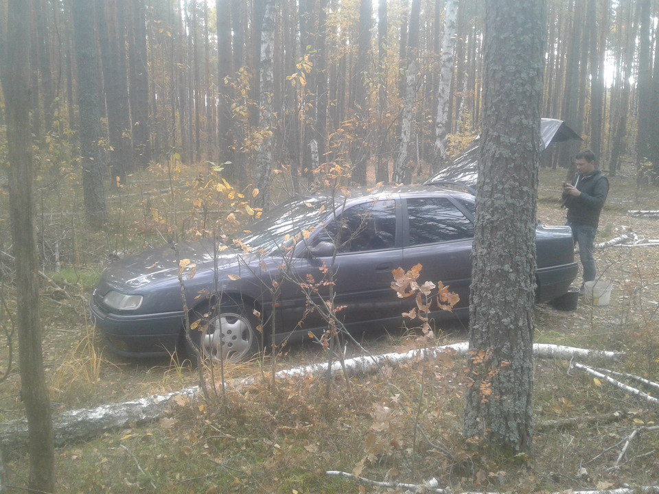 Закриття грибного сезону... 4