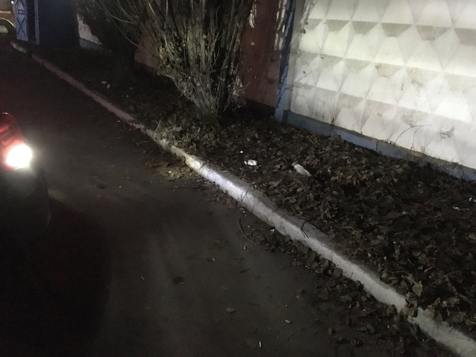 LED у задній хід 3