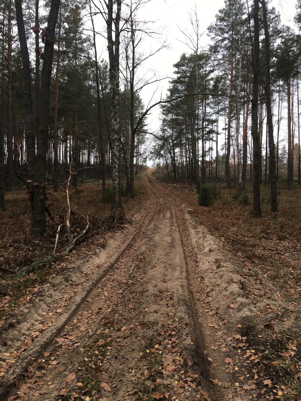 Прохідність Сандеро, а точніше її відсутність :( 2