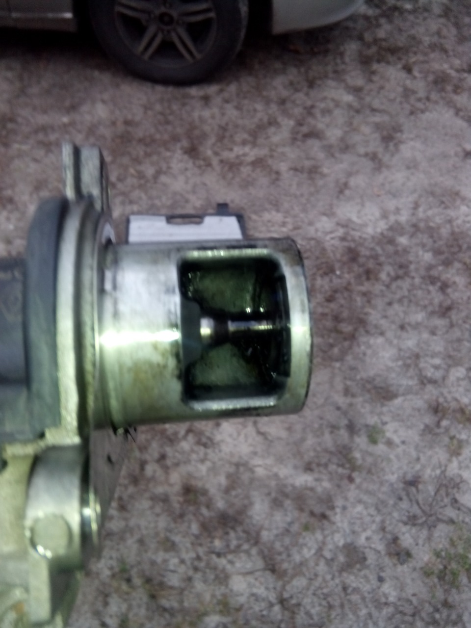 Чистка дачка EGR 1