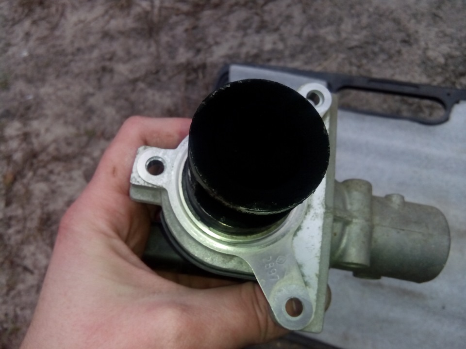 Чистка дачка EGR 3