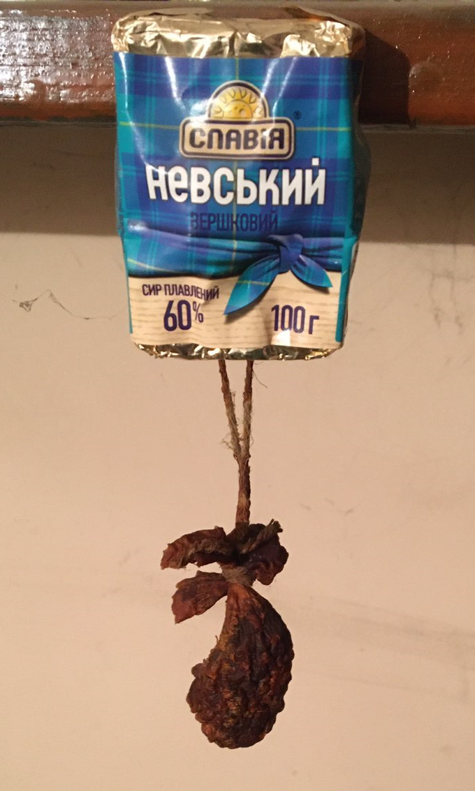 Цілюща галявина vol.2 4
