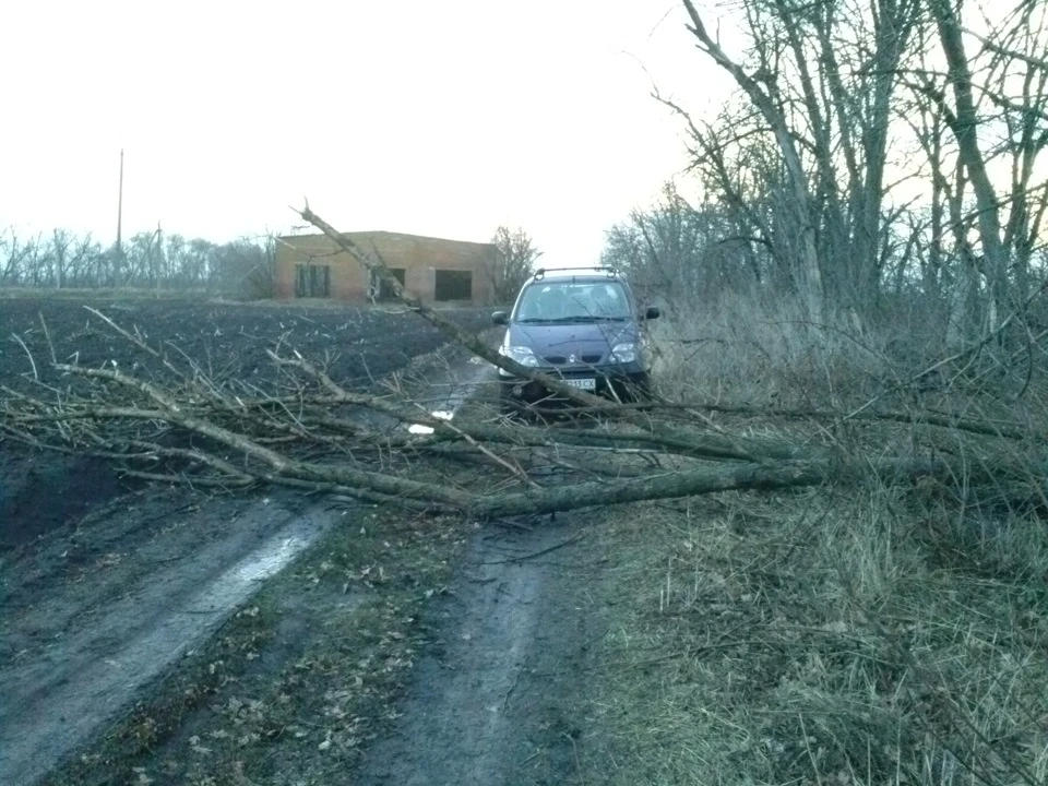 Невелика пригода, хоча насправді просто запис =)