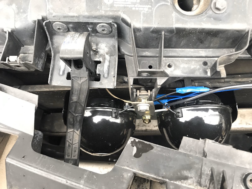 Нові клаксони на Renault Scenic 2 5