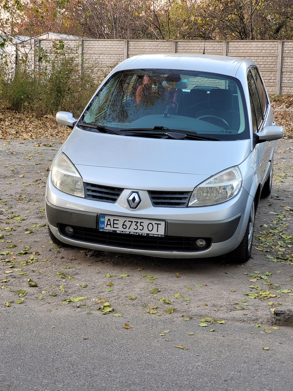 Мийка жаби 4