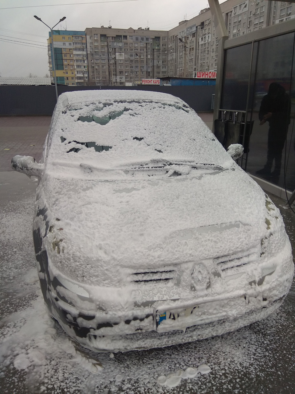 Жаба на мийках самообслуговування 3
