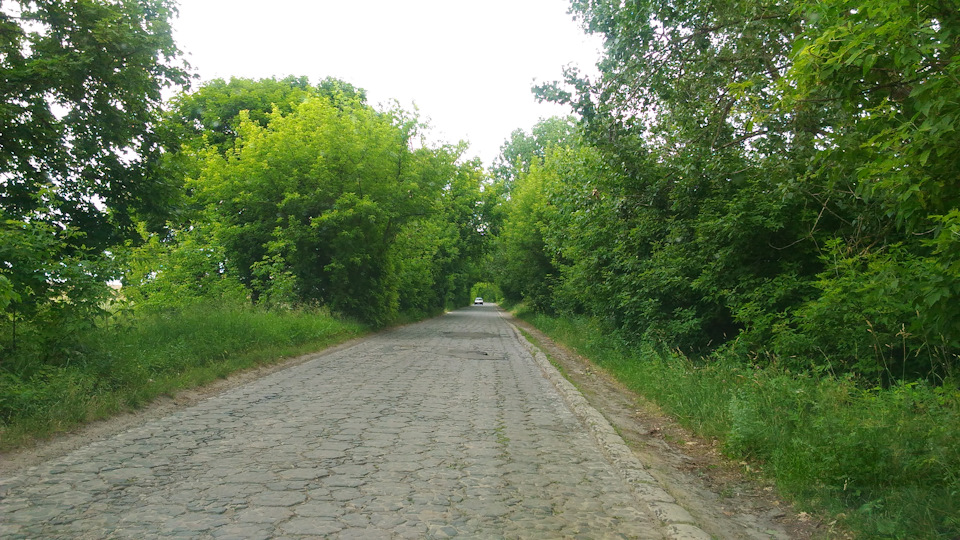 Львів - Олика - Клеванов - Пересопниця - Рівненський зоопарк - Львів 5