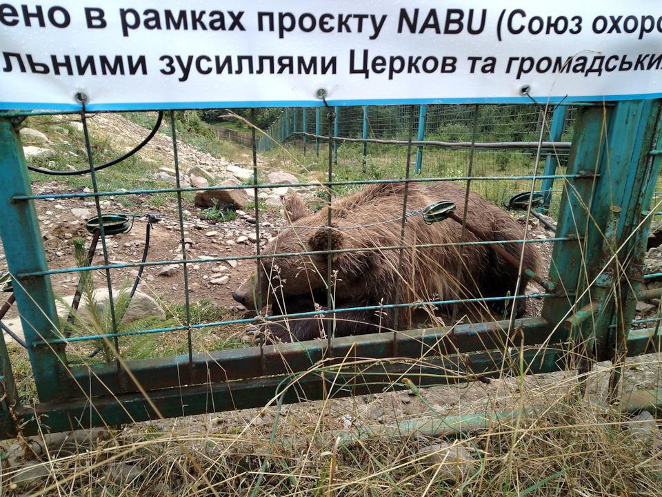 Львів - Синевирська поляна - озеро Синевир - Колочава - Косине - Львів 5