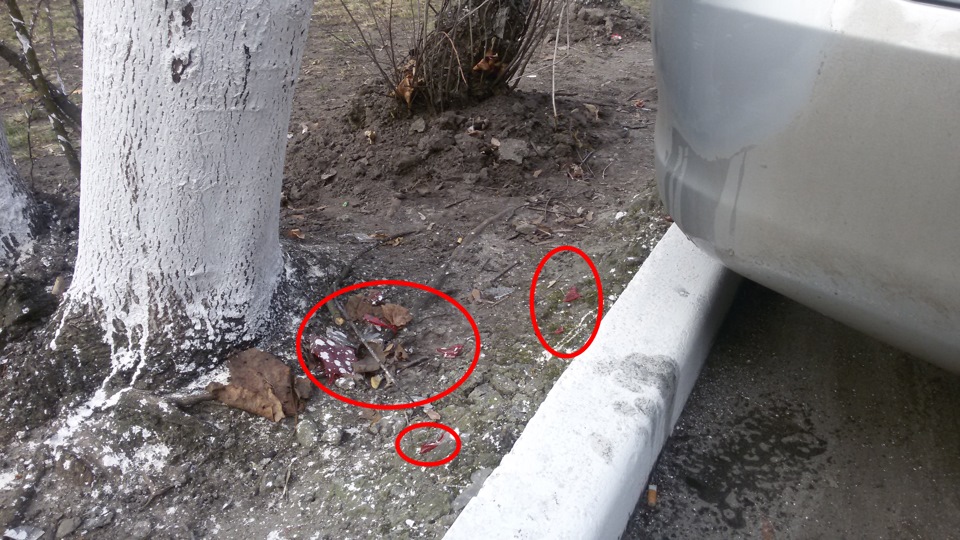 За тиждень стільки неприємностей... 5