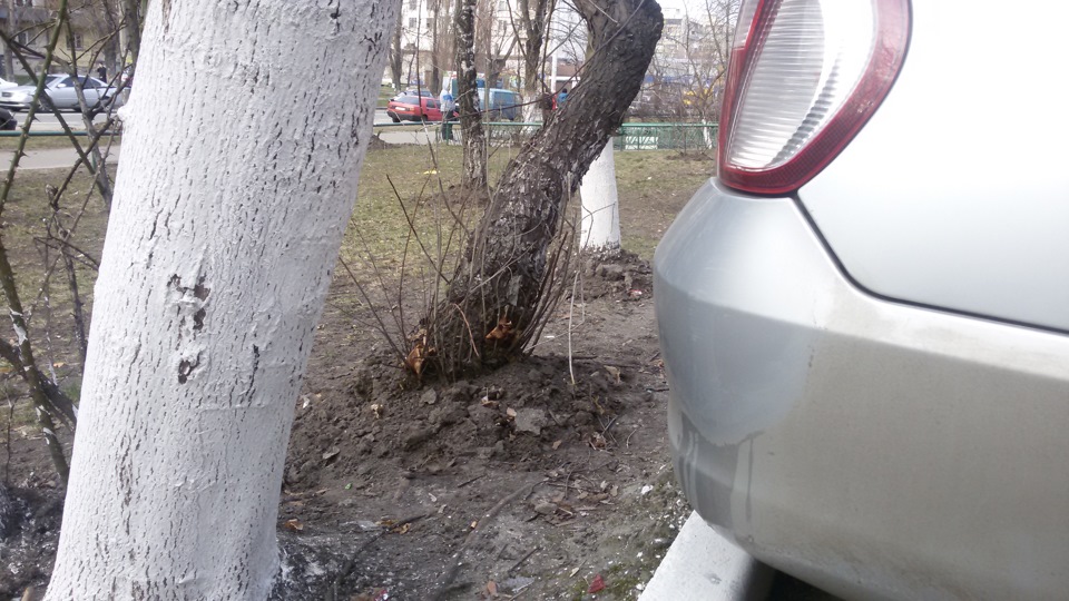 За тиждень стільки неприємностей... 4
