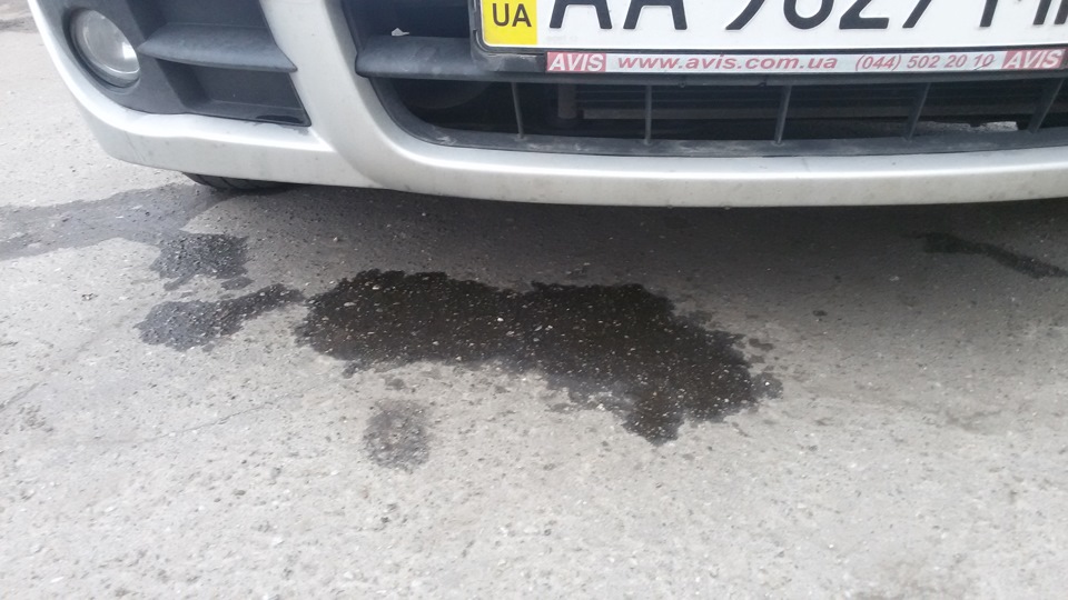За тиждень стільки неприємностей... 1