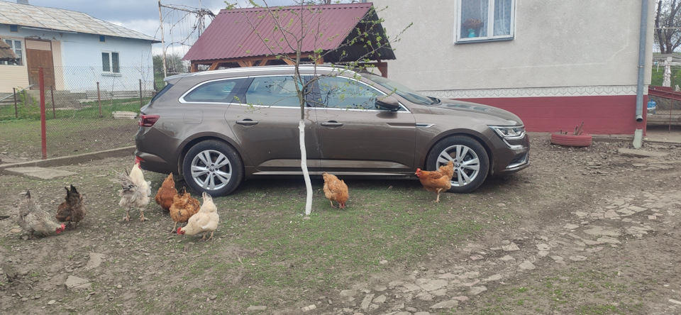 Установка Starline S66 з автозапуском+деякі корисні плюшки 4