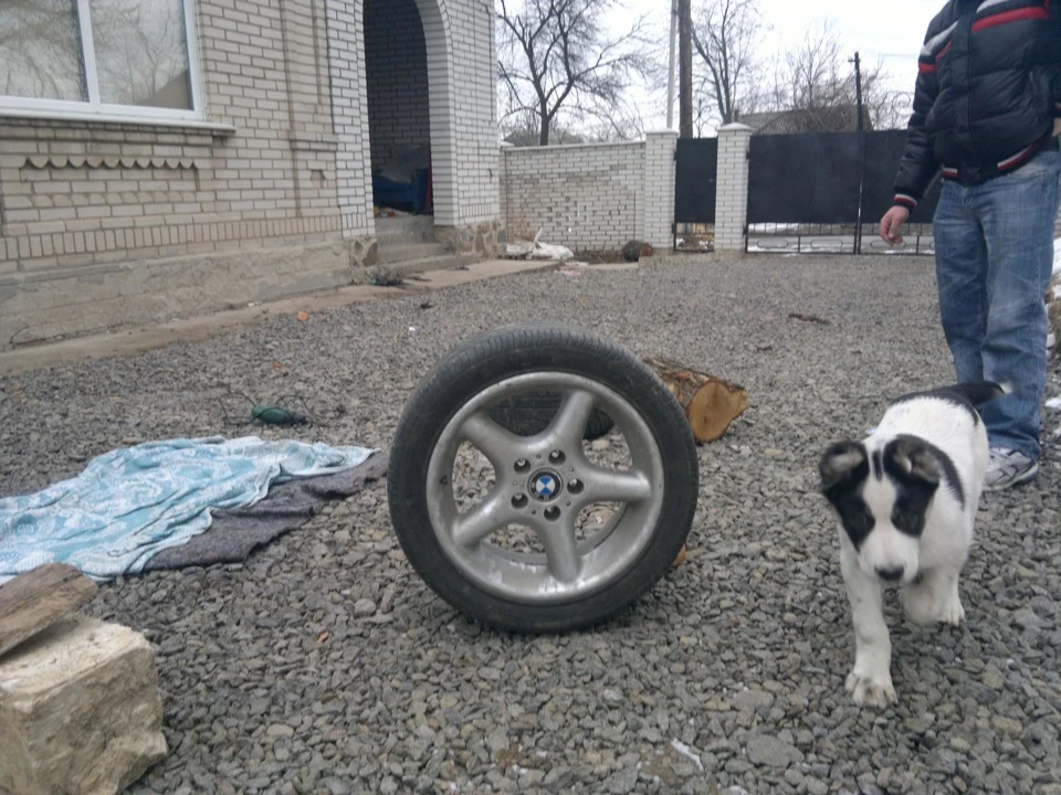 диски на R17 на зиму