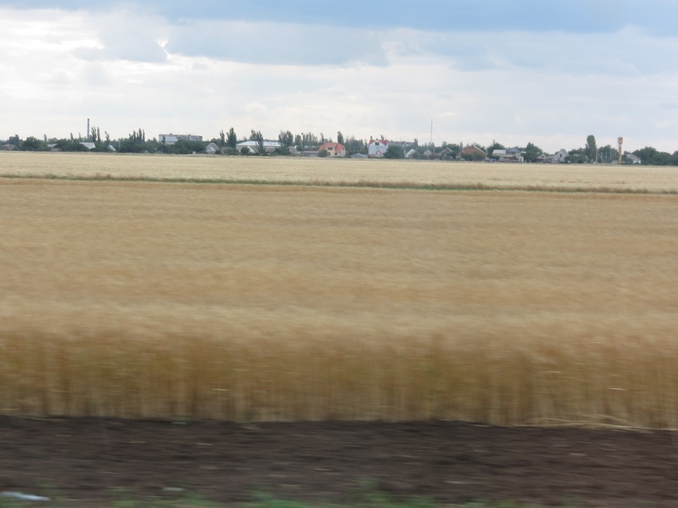 Відрядження Херсон, Миколаїв. 5