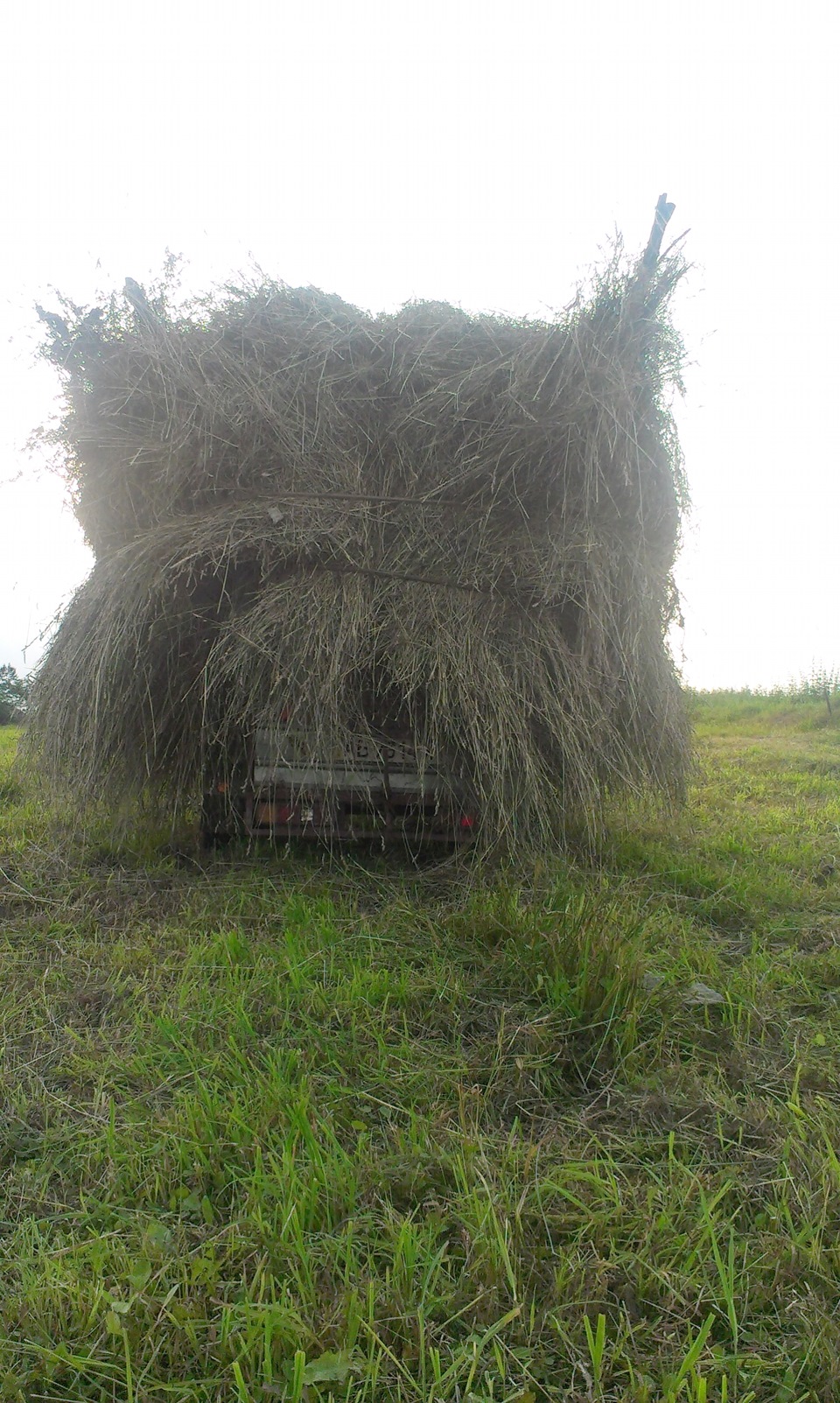 Поїздка в село вдалася)) 1