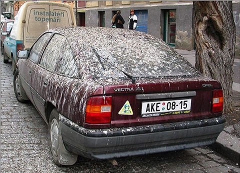 Мити чи не мити? 1