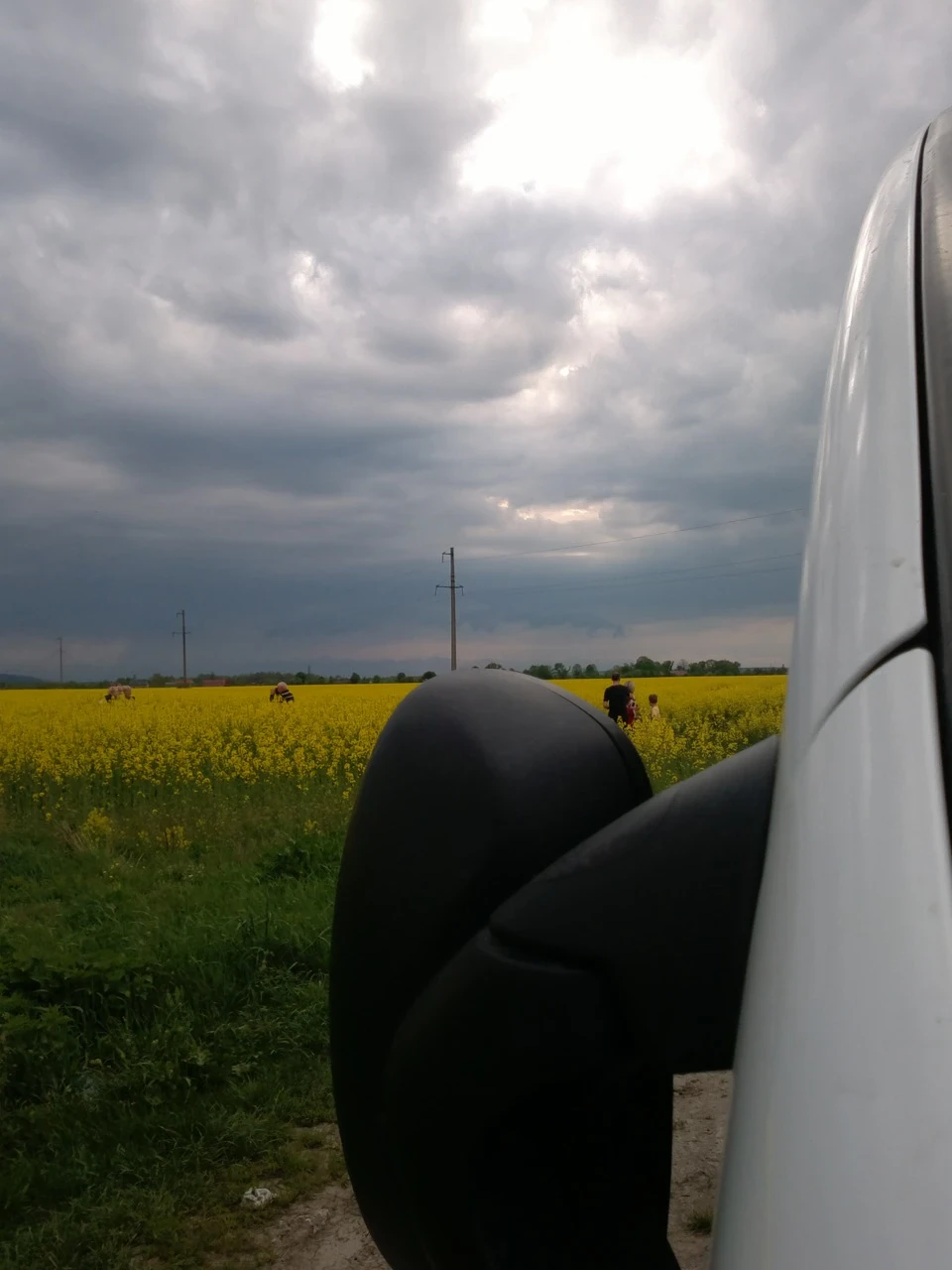 фото пакатухи