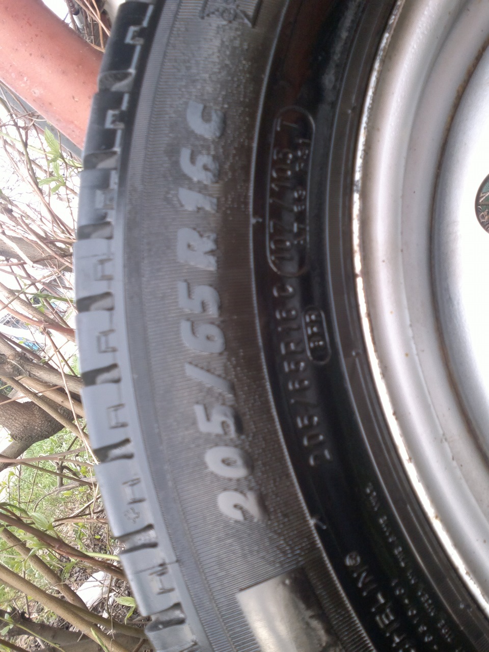 Поставив літо Michelin Agilis 205/65R16 4