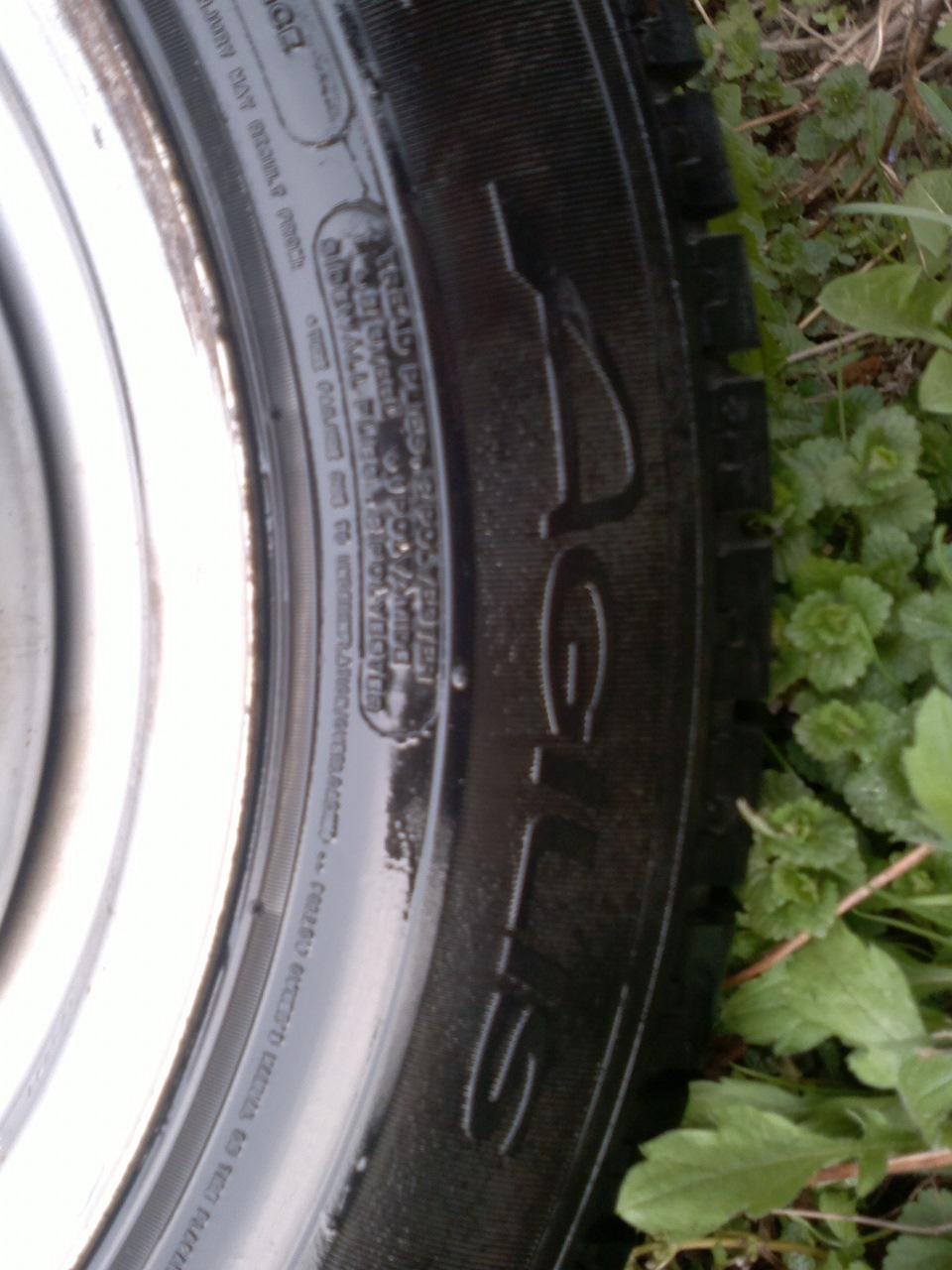 Поставив літо Michelin Agilis 205/65R16 5
