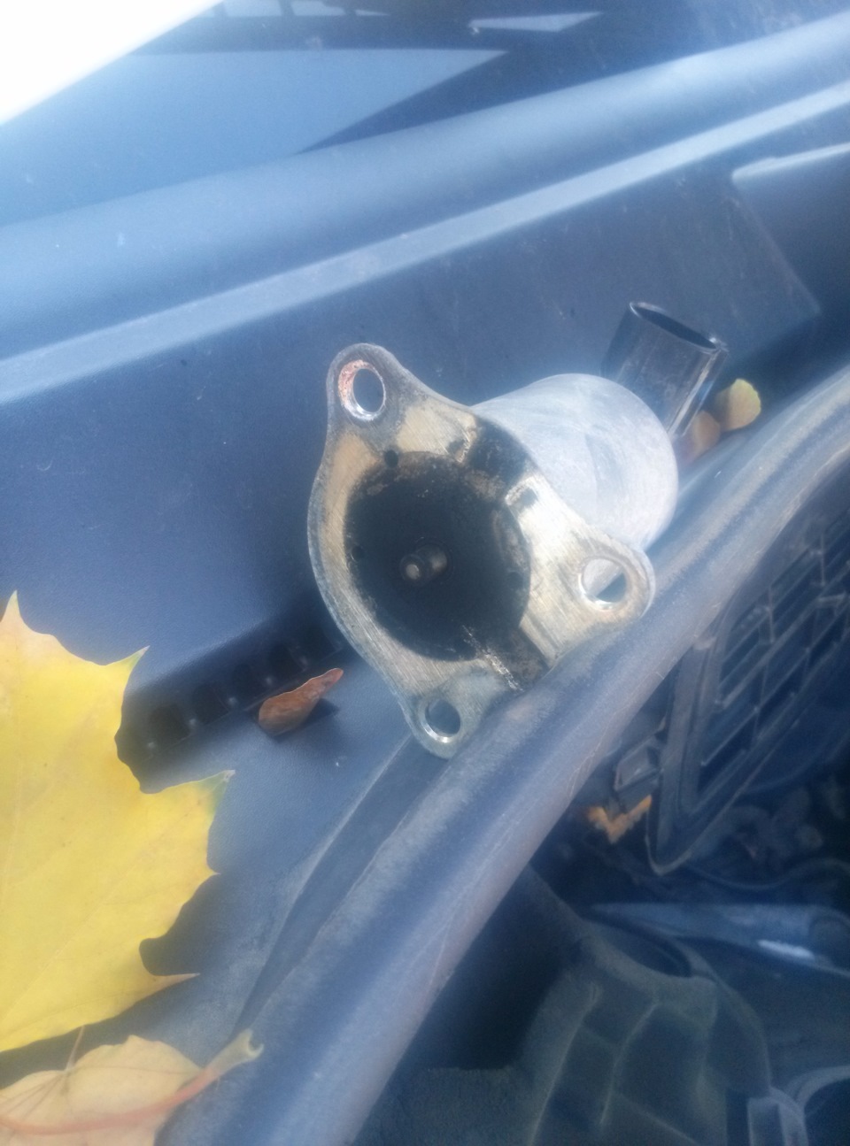 Заглушив EGR 5