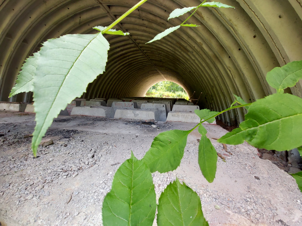 Покотушки 5