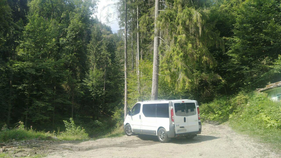 Карпати