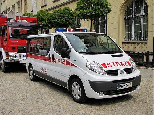 Renault Trafic на державній службі 4