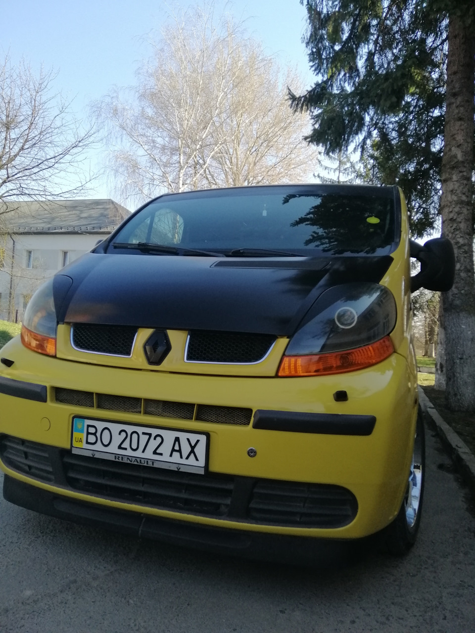 Bee 1