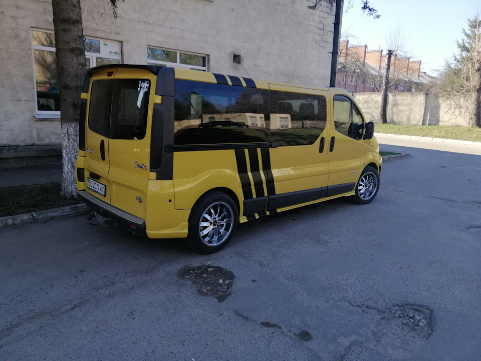 Bee 5