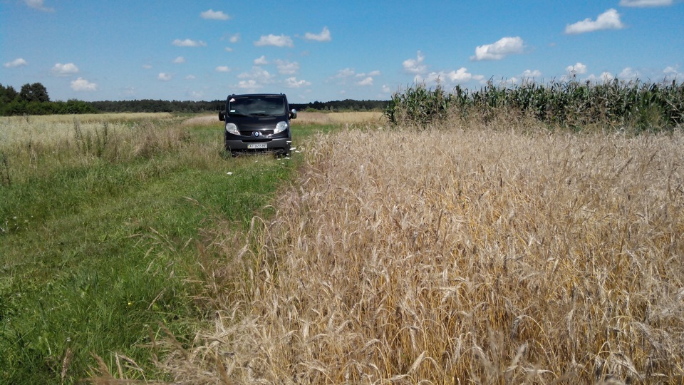 Бус на збиранні врожаю 4