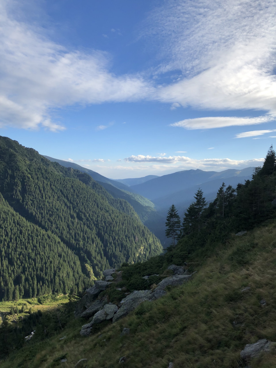 Summer 2019. Day 2 2
