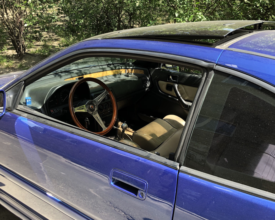 Nardi Torino. Більше дерева! 2