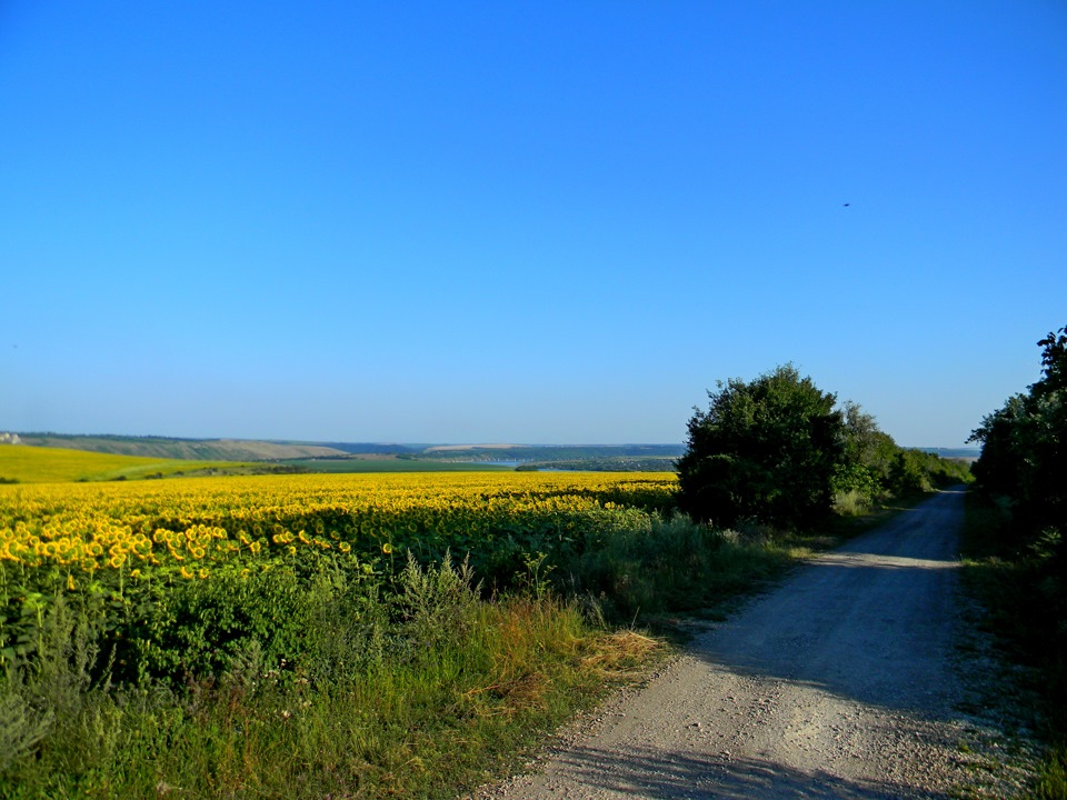 Місткий багажник 2
