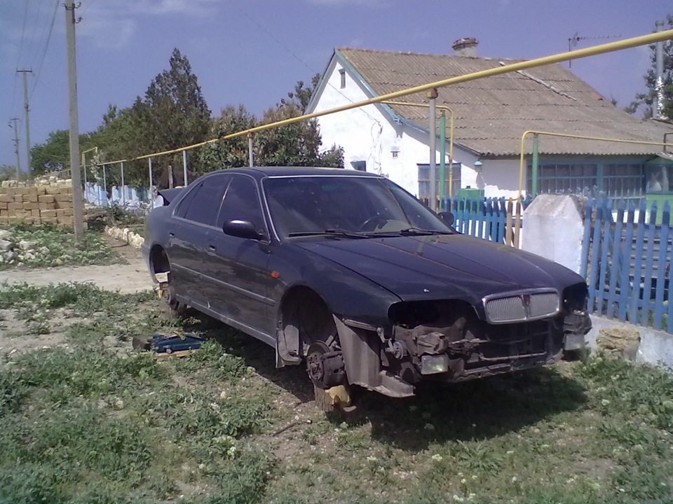 На пеньках 1