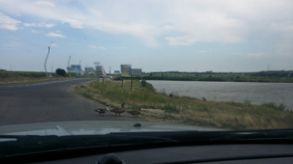 Відпустка вдалася. 4