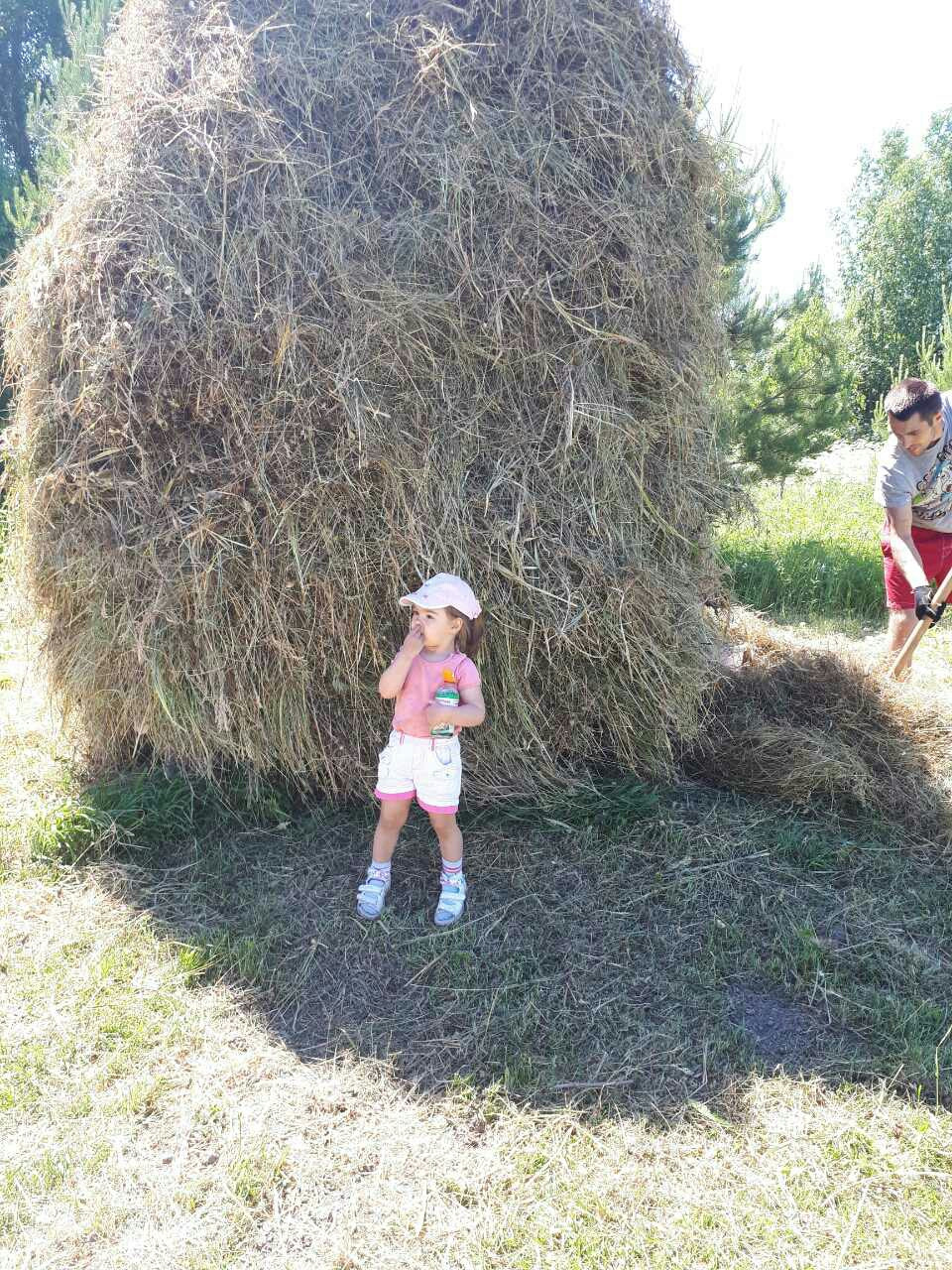 Вихідні вдалися. 5