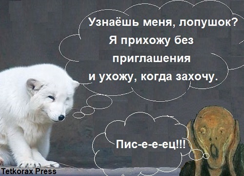 Питання або підтвердьте здогад. 1