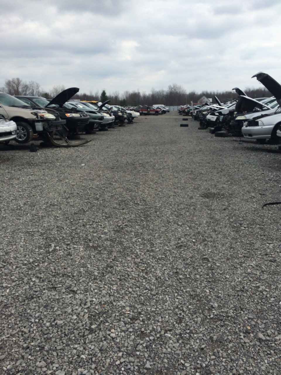 Junk yard 5