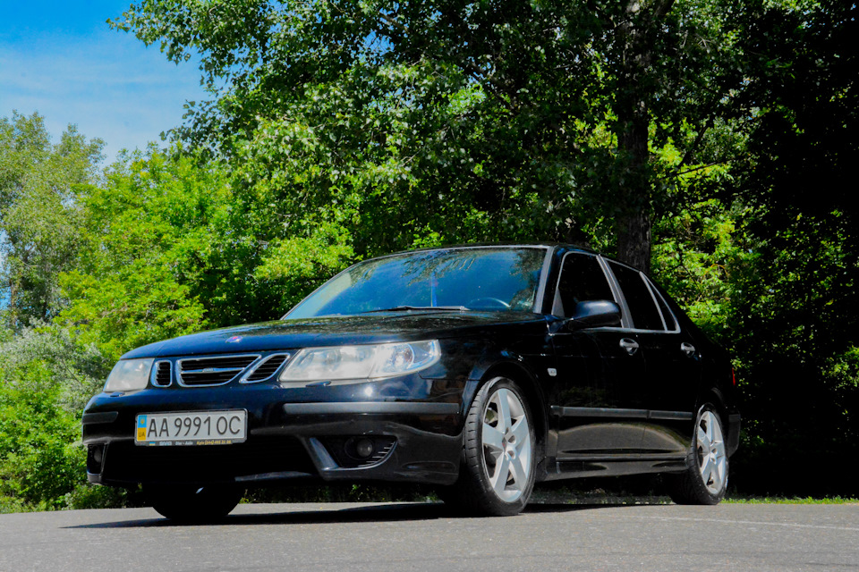 SAAB на природі 5