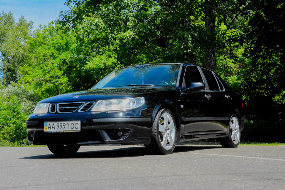 SAAB на природі 4