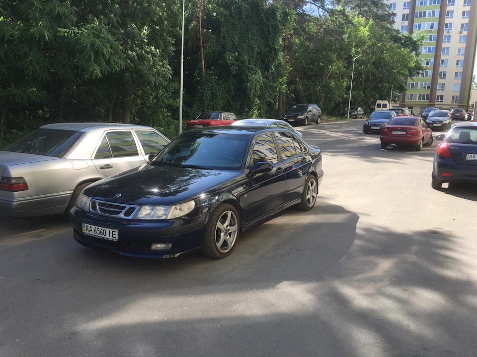 Фарбування готове! 1