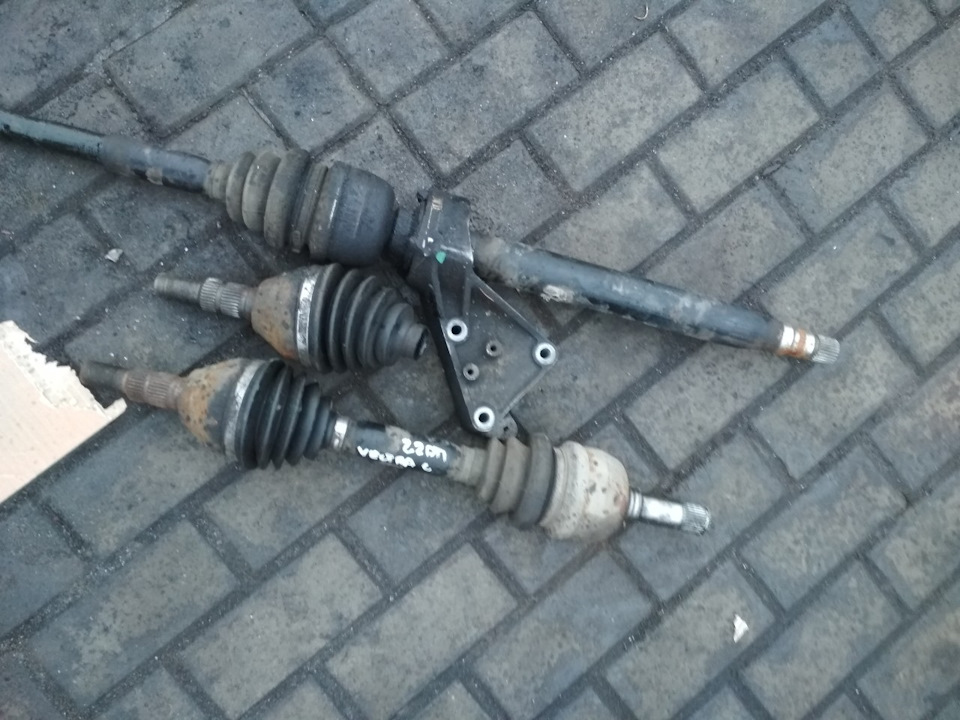 Приїхали няшки для Сааба, продовження… 4