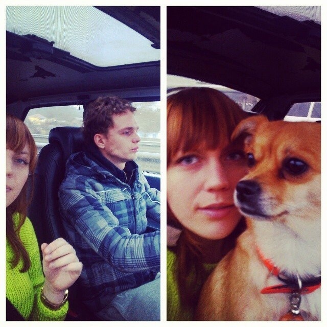 Бердос! 2