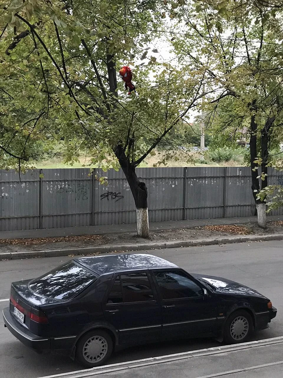 Коли у тебе друг з гарним гумором)))