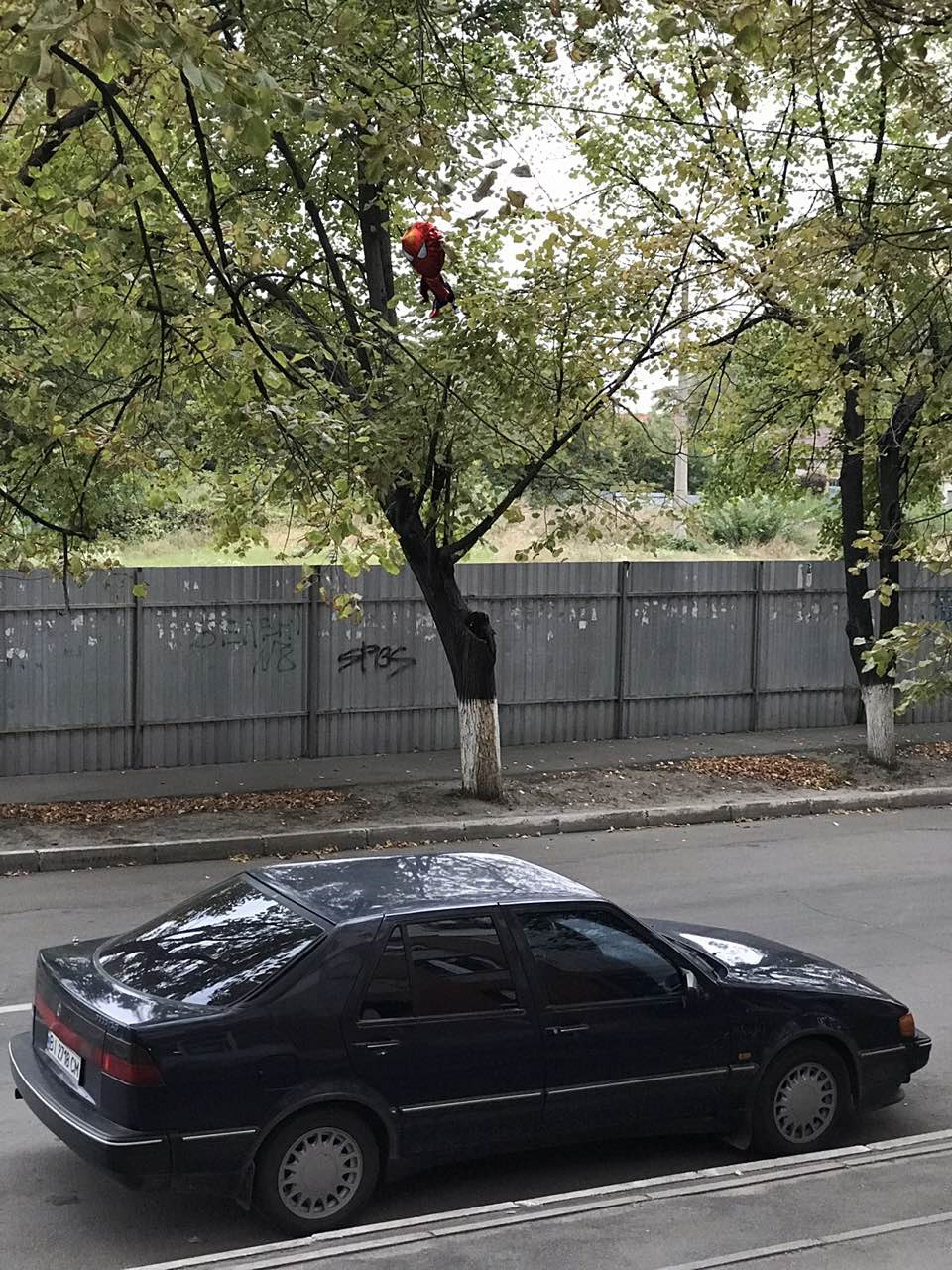 Коли у тебе друг з гарним гумором))) 1