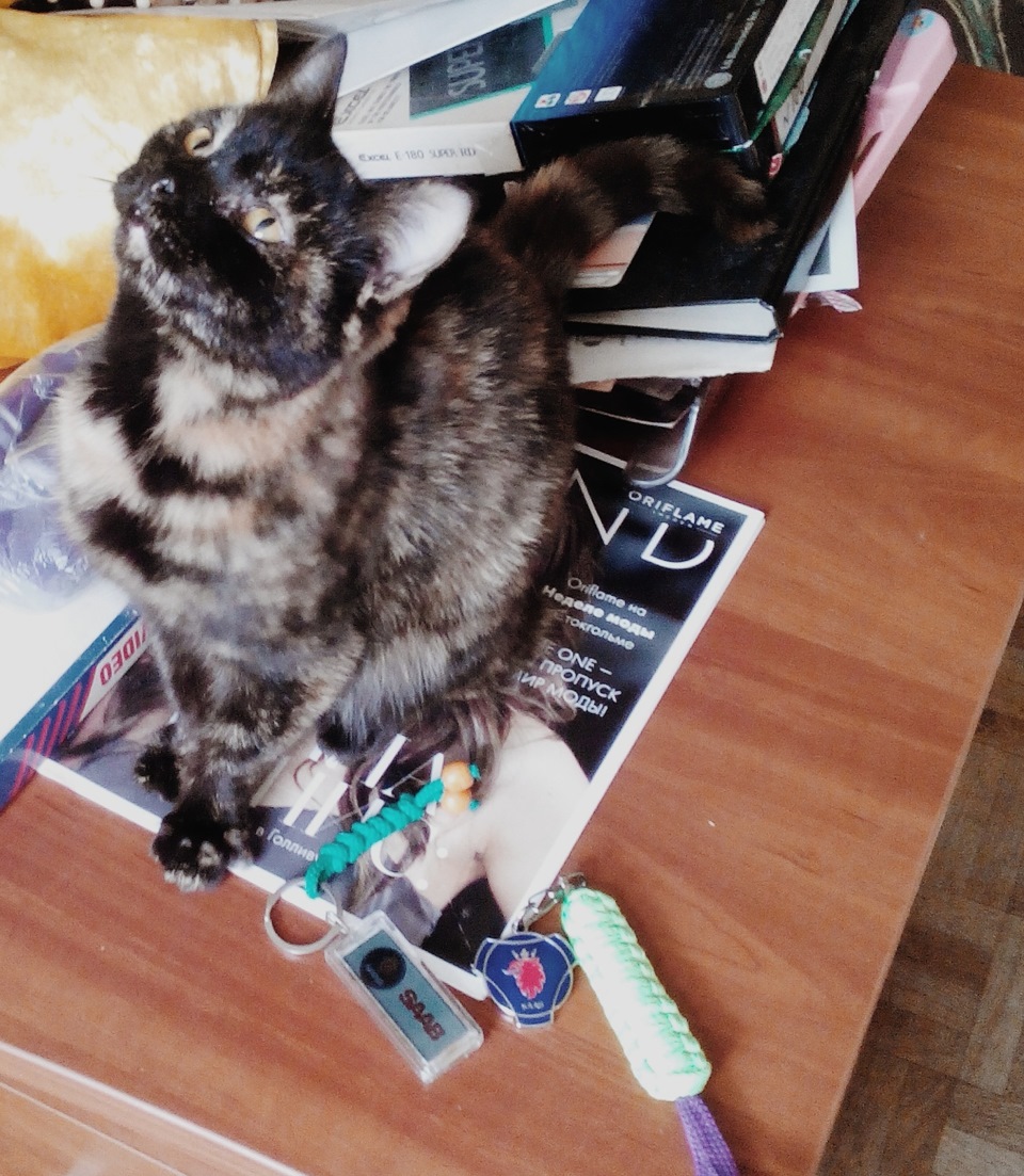 Лебеді, Сааб, брелоки з Пітера, кошеня. 5