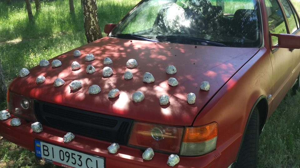 Відпочинок на природі без тюнінгу своїми руками, не відпочинок 1