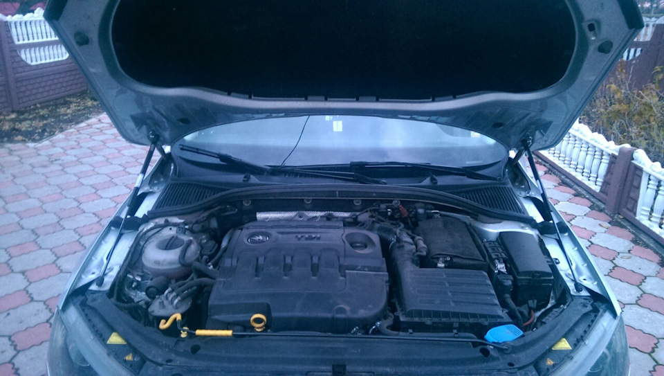 Амортизатори капота Skoda Octavia A7 ще +1 1