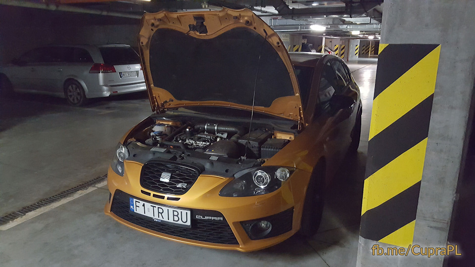SEAT Leon Cupra амортизатори капота Poland edition! 1
